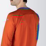 Back Insert