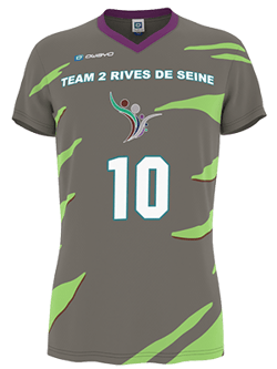 Un maillot de sport gris à manches courtes avec des bandes vertes, le numéro 10 et l'inscription 'TEAM 2 RIVES DE SEINE' ainsi qu'un logo de joueur de handball.
