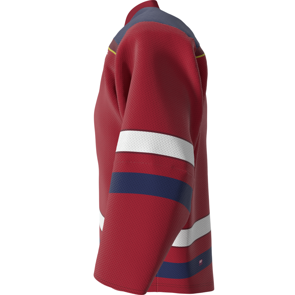 コラボ☆OVO x ラプターズ TOWN HEROES HOCKEY JERSEY OVO X Raptors Hometown Heroes Hockey Jersey – shop.realsports
