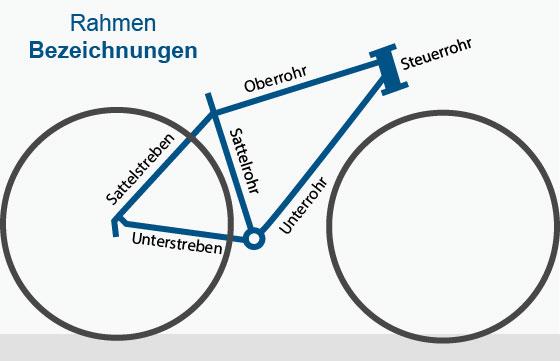 Bikefitting So berechnen Sie die Rahmengröße Ihres Fahrrads
