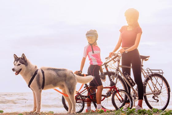 Man Dog and Bike Tshirt Mountain Bike Dogs Cycling Shirt 