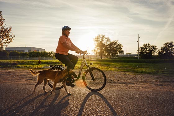 Man Dog and Bike Tshirt Mountain Bike Dogs Cycling Shirt 