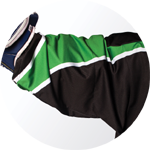 productHighlight_h5_goalie_title productHighlight_h5_goalie_title